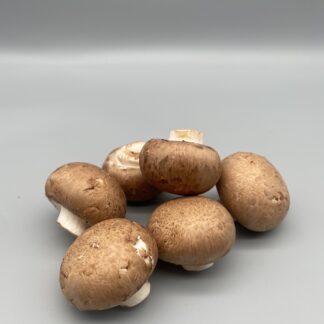 Champignons braun, 1000g mittel