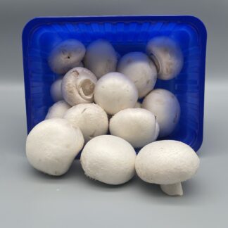Champignons weiß, mittel 1000g