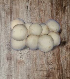 Champignons weiß, dick 1000g
