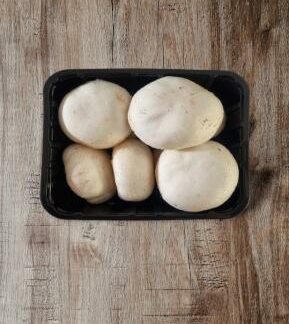 Champignons weiß, dick 500g