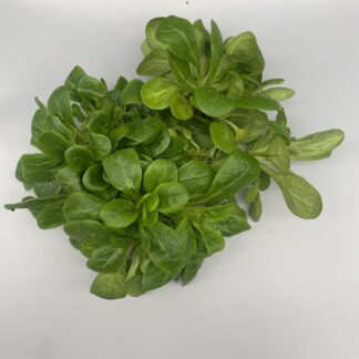 Feldsalat