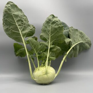 Kohlrabi