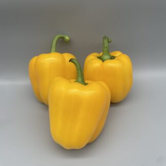 Paprika gelb