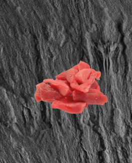 Schweinegeschnetzeltes